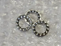 TANDSKIVE I 12,5 MM.